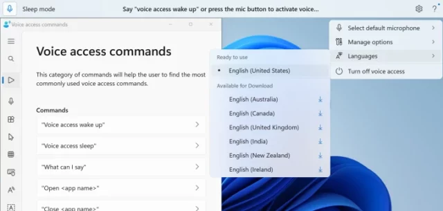 Voice Access (Sprachzugriff) - bislang nur auf Englisch