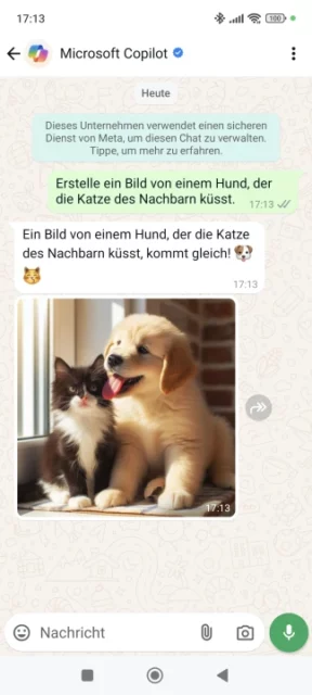 Bild erstellen mit Copilot in WhatsApp