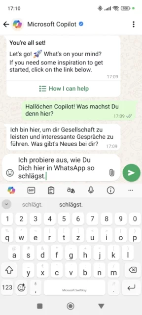 erster Chat mit Microsoft Copilot in WhatsApp