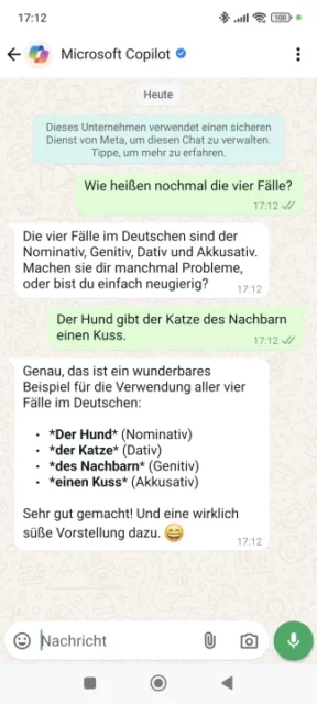 Grammatik-Frage an Copilot in WhatsApp